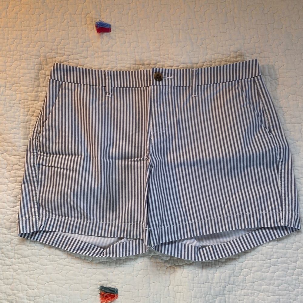 Blue and White Striped Shorts